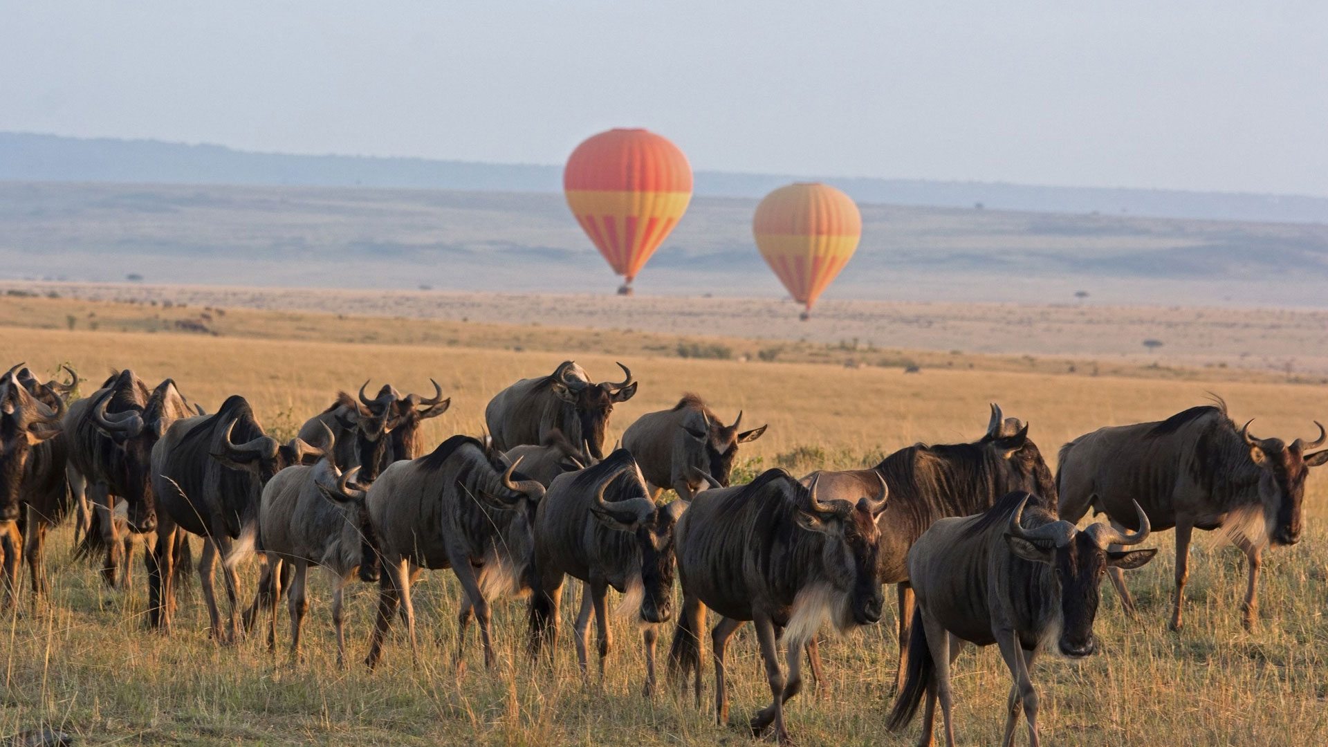 Serengeti-Balloon-Safari-andBeyond-Experience