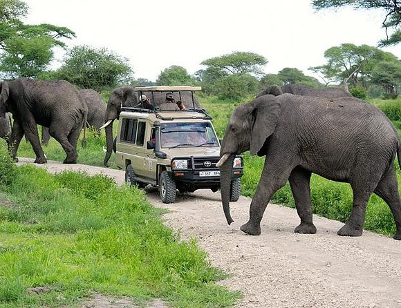 tarangire-2-580×446 tarangire-2-580x446