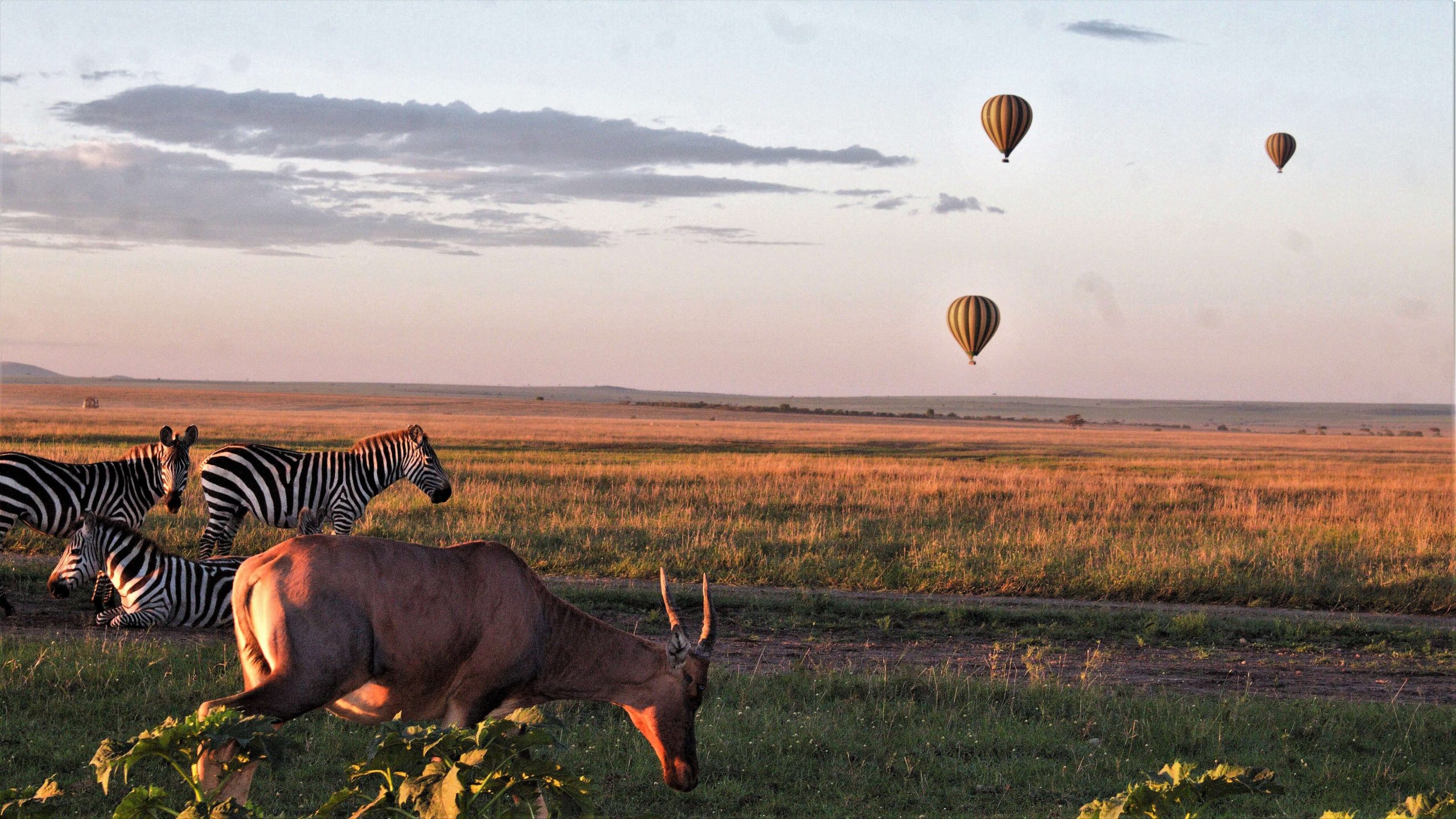 balloon-safari-tanzania-Kanje