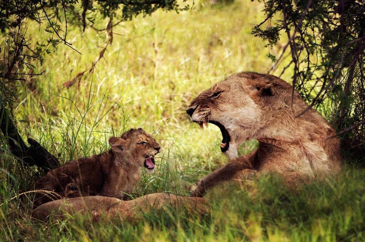 Lake Manyara - Kanje grand tours