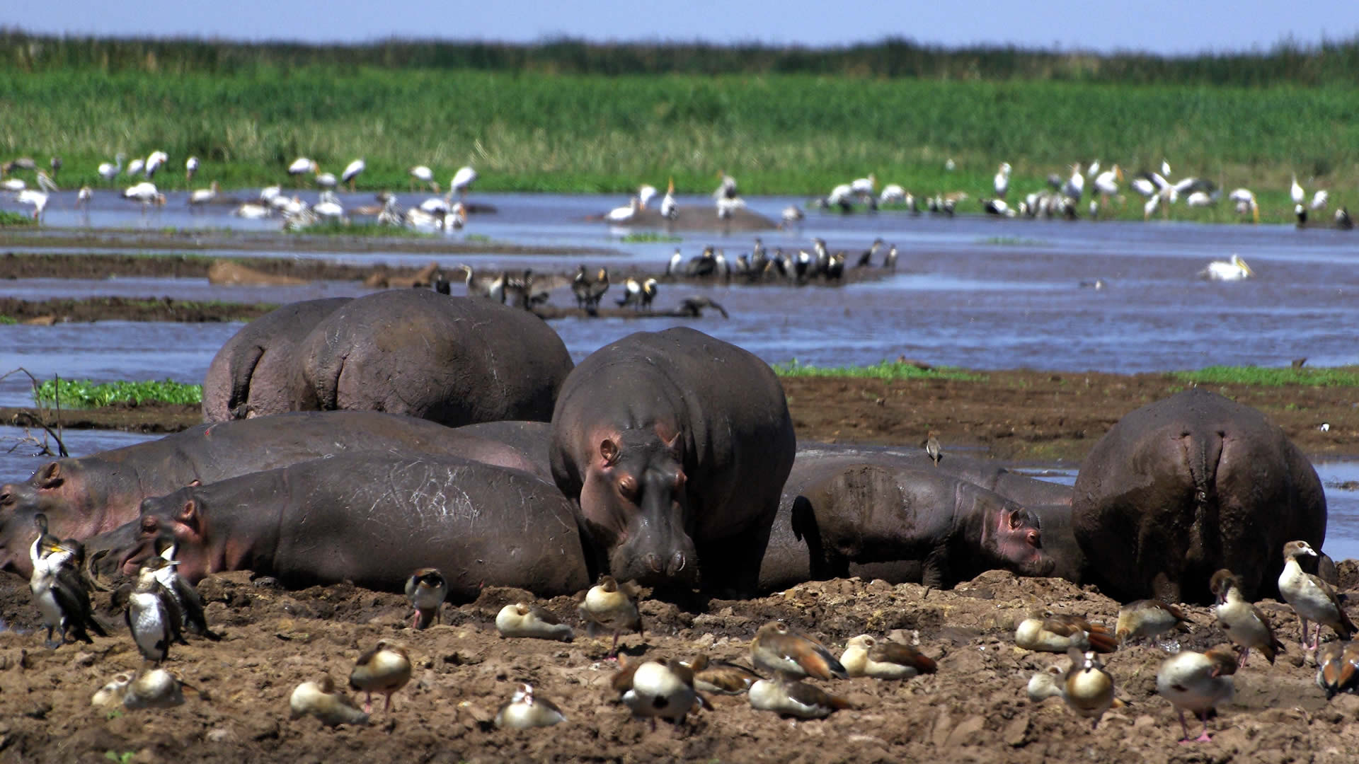 lake-manyara-national-park- Kanje grand tours